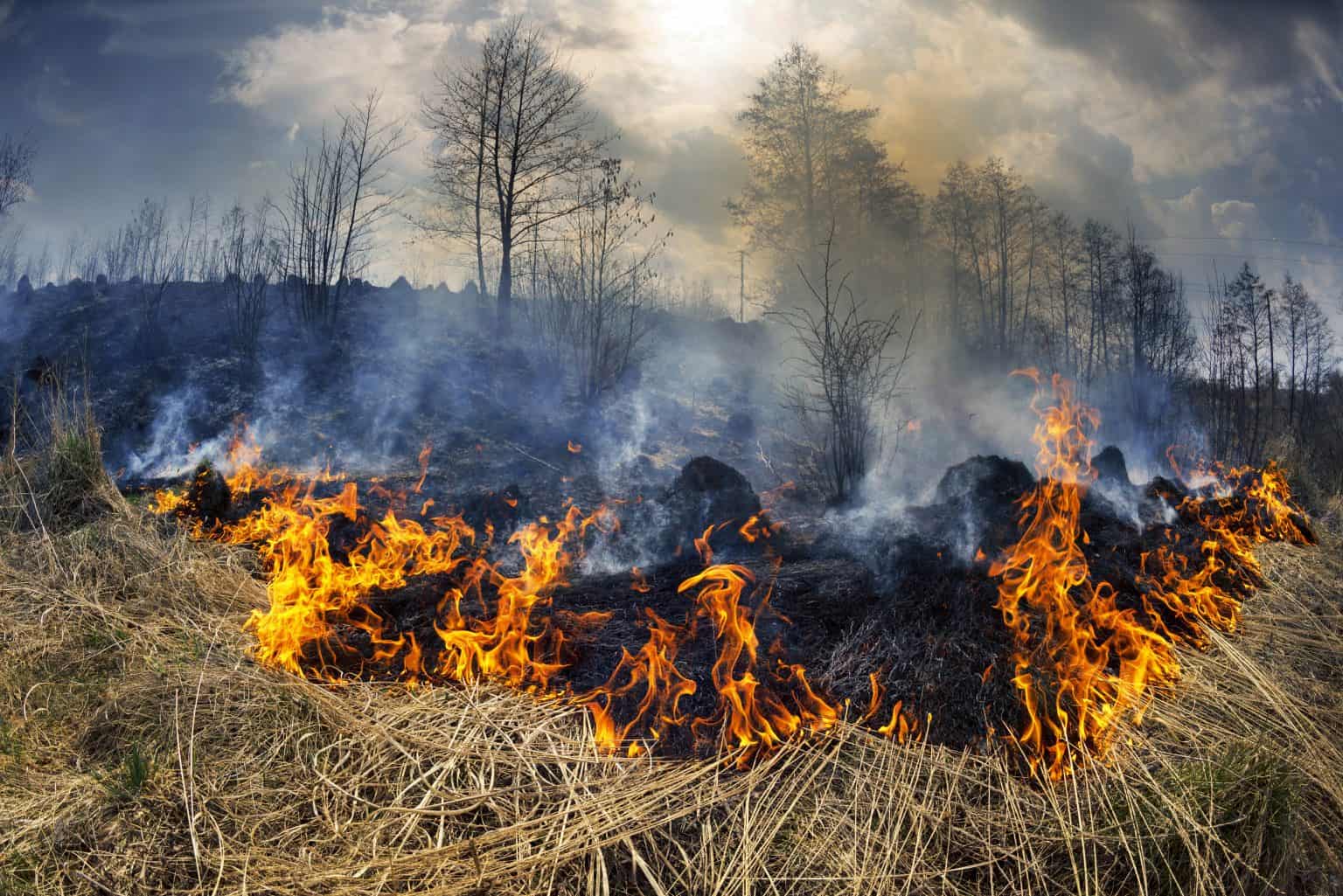 Is Campfire Smoke Bad for Your Hair? Will It Dry Out?